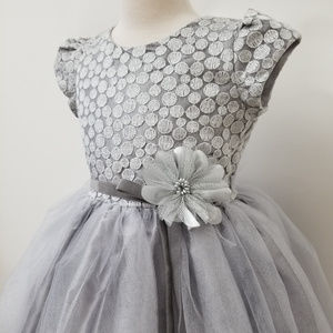SILVER Metallic Cap Sleeves Jacquard TopTulle Skirt Girl Dress Holiday Party